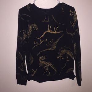 Dinosaur sweater